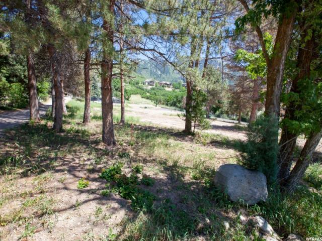 10253 Dimple Dell Rd - Photo 1
