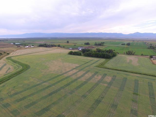 5256 Dingle Rd - Photo 1