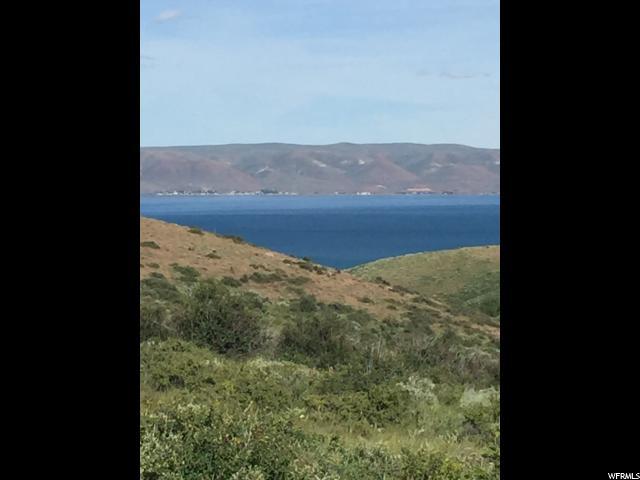 50 Bear Lake Rnch - Photo 1