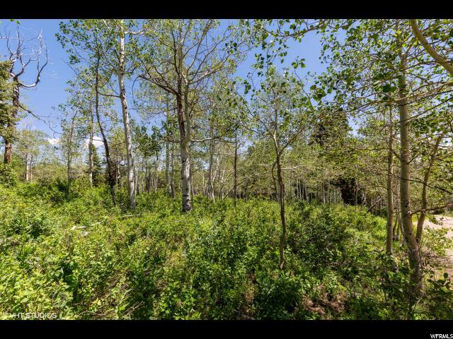2078 Pine Loop Rd - Photo 1