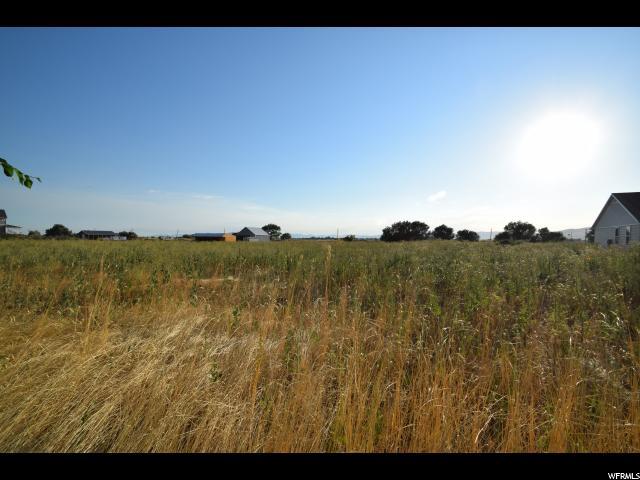 11825 3400 - Photo 1