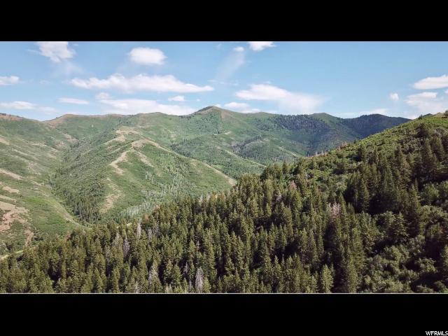4785 Highway 66 - Photo 1