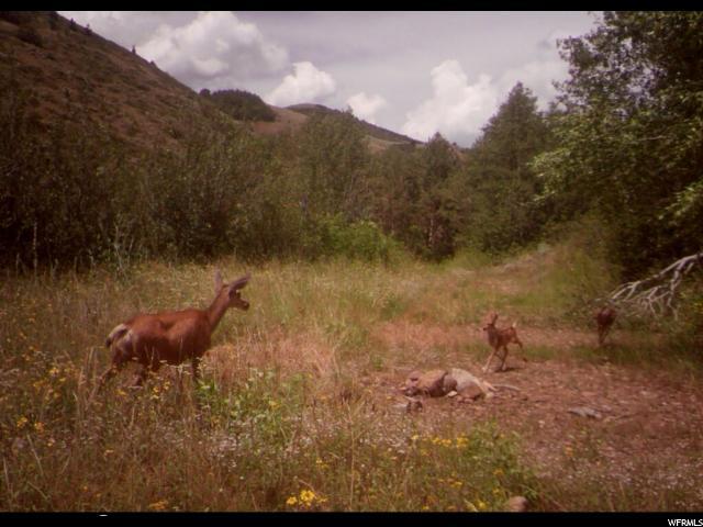 11607 Middle Fork Dr - Photo 1