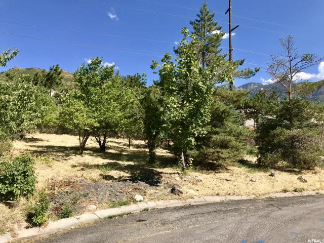 3475 Virginia Way - Photo 1