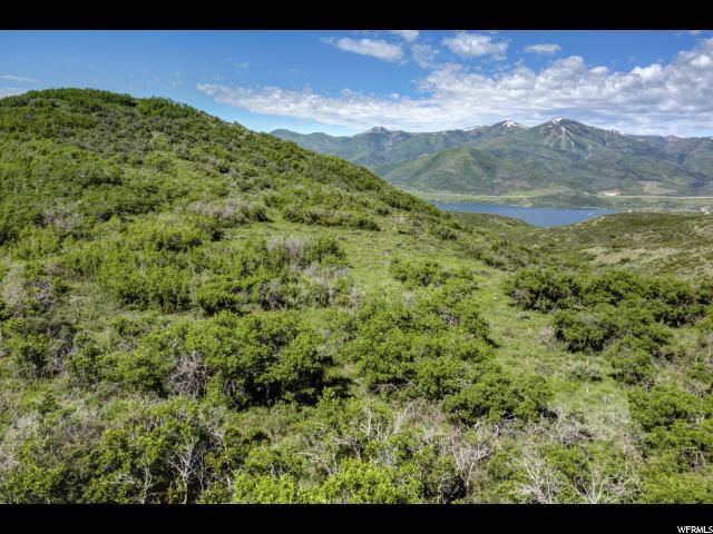 9563 Lone Peak Ln - Photo 1