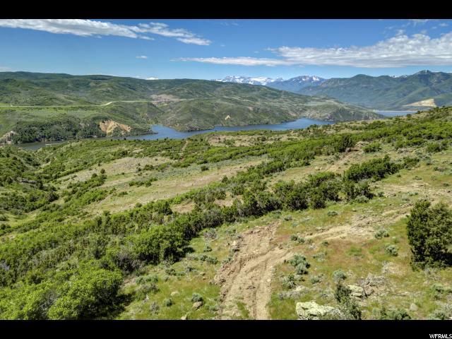 3200 Sundowner Ridge Dr - Photo 1
