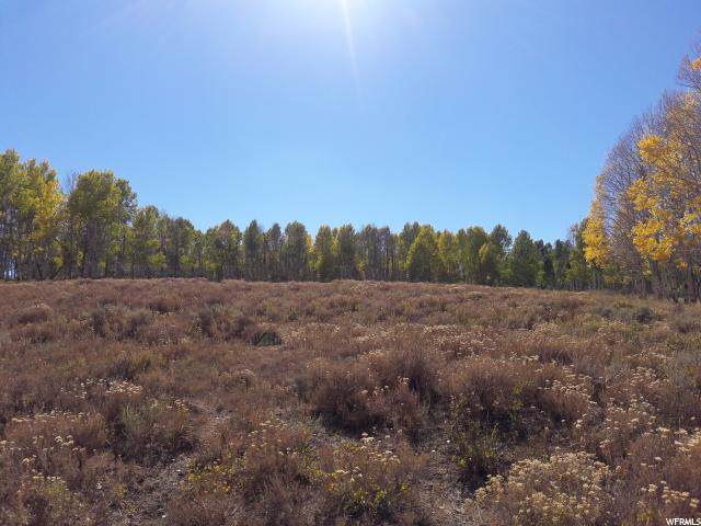 23271 Elk Meadows Dr. - Photo 1