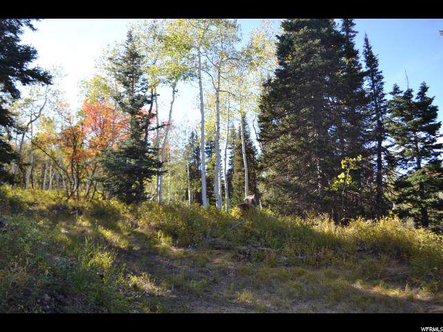 2106 Pine Circle Cir - Photo 1