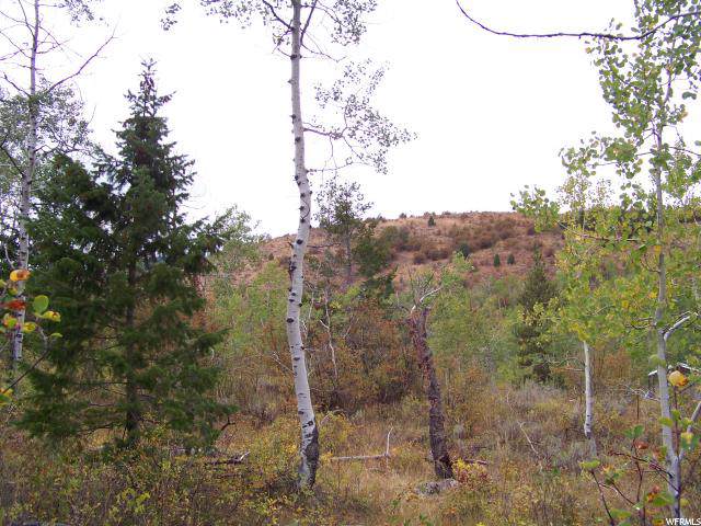95 Creek Dr - Photo 1