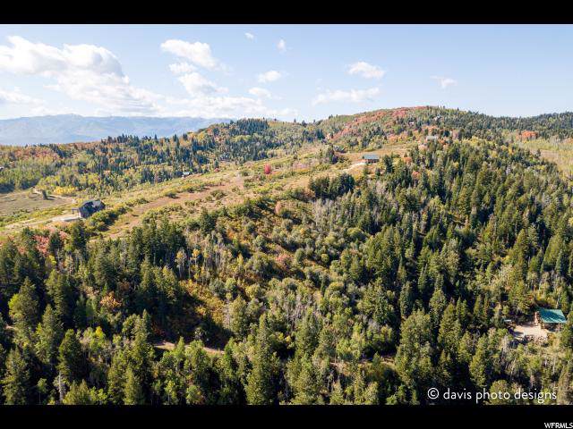 483 Porcupine Loop - Photo 1