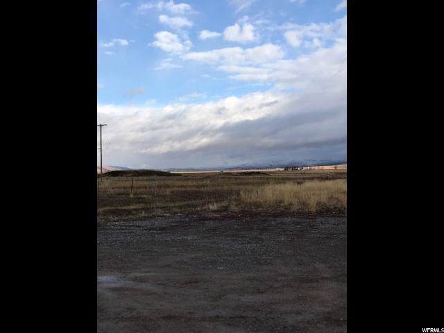 768 Keele Ave - Photo 1