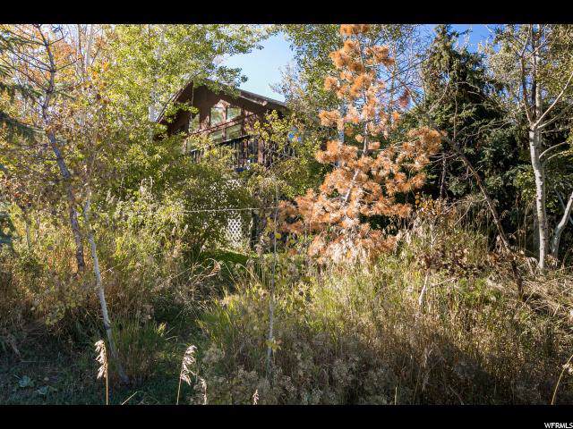 7975 Cedar Way - Photo 1
