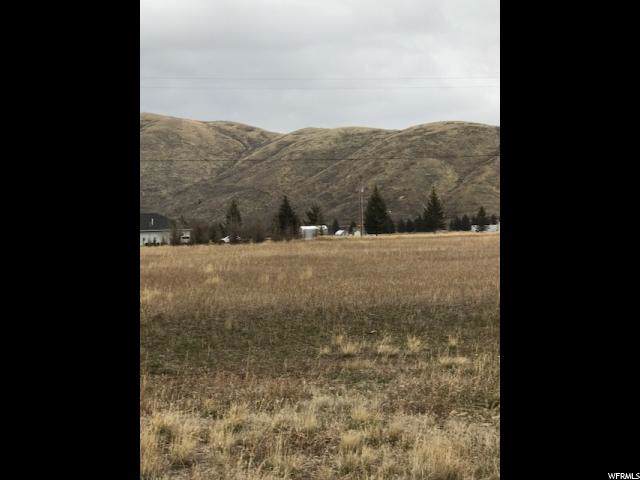 758 Keele Ave - Photo 1