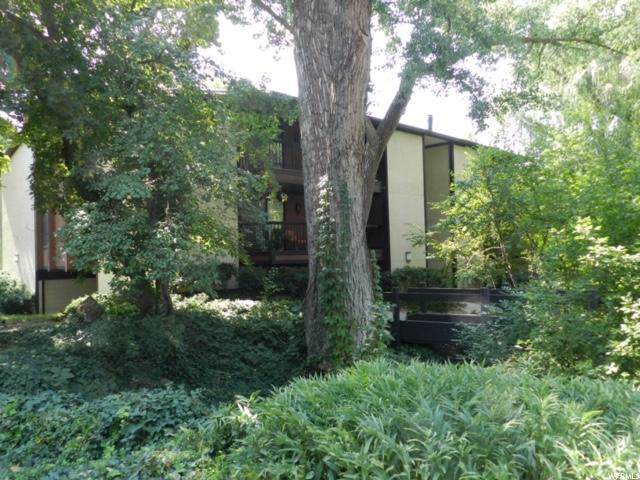 5536 Springtree Ln - Photo 1
