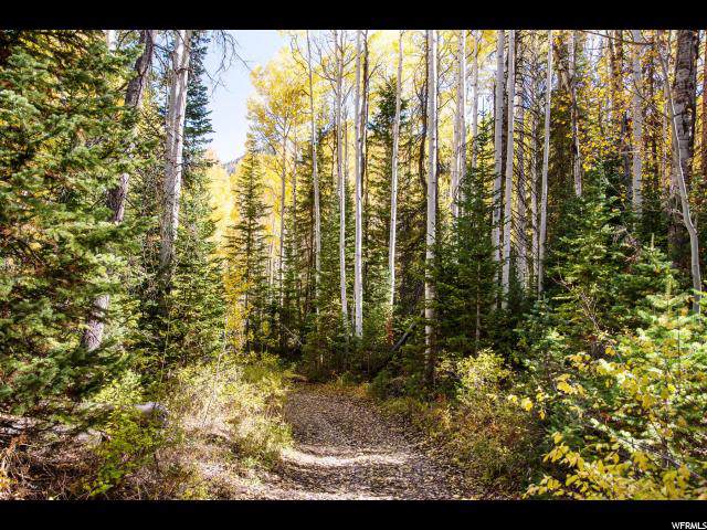 8860 Weber Canyon Rd - Photo 1
