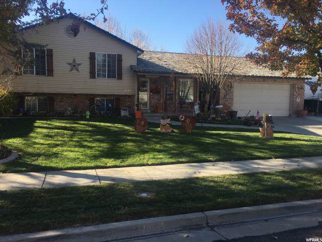 11832 Buckwheat Way - Photo 1