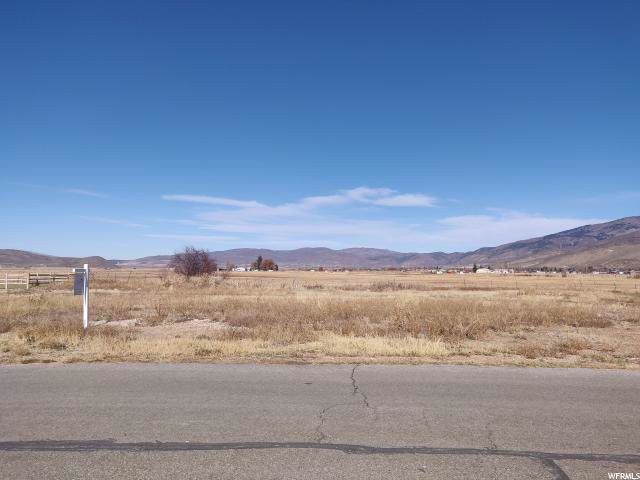 772 Spruce Way - Photo 1