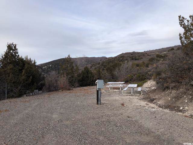 22345 Cedar Ridge Dr. - Photo 1