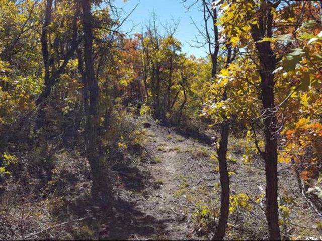 46 Long Valley Trl - Photo 1