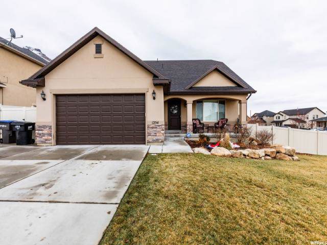 1254 Cinnamon Ridge Way - Photo 1