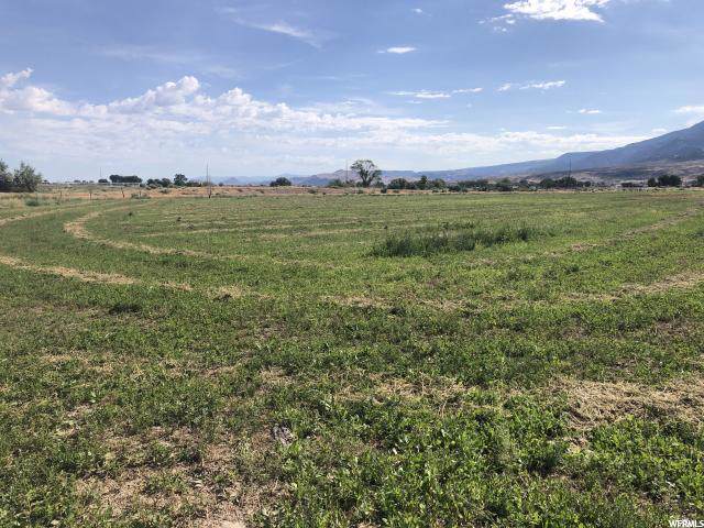 2696 Hwy 118 - Photo 1