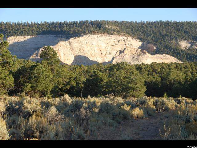 687 Sr 12 Hwy - Photo 1
