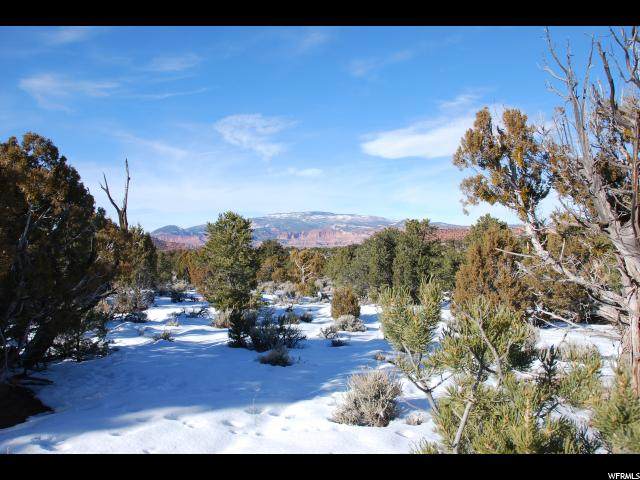687 Sr 12 Hwy - Photo 1