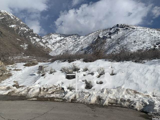 1702 Box Elder Dr - Photo 1