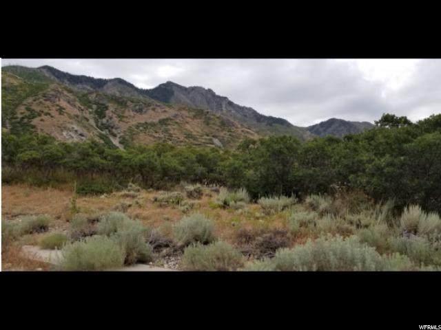 1513 Box Elder - Photo 1