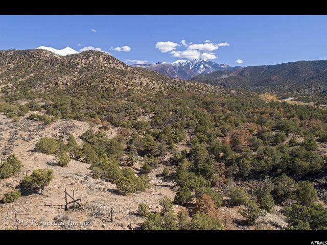 525 Pack Creek Rd - Photo 1