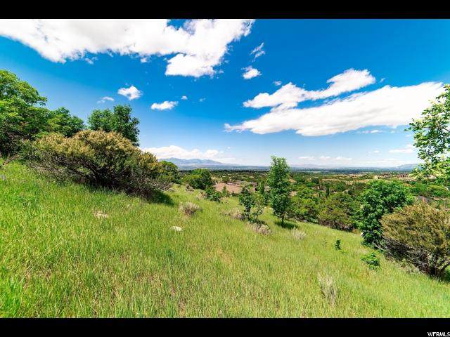 3776 Catamount Ridge - Photo 1