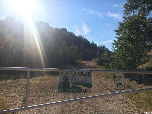 Bottom Sage Hen Loop Rd - Photo 1