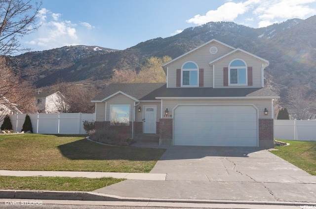 1410 Cold Water Way - Photo 1