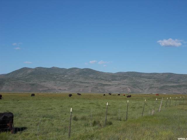 3155 Democrat Aly - Photo 1