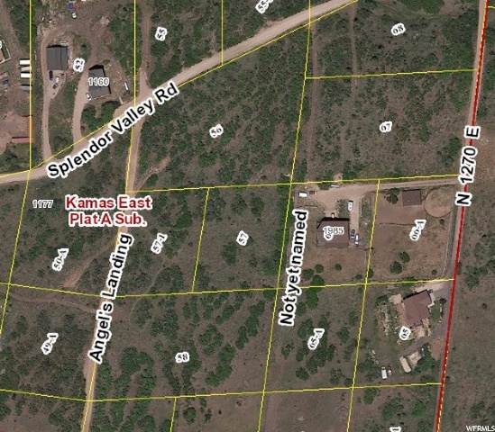 57 Splendor Valley Rd - Photo 1