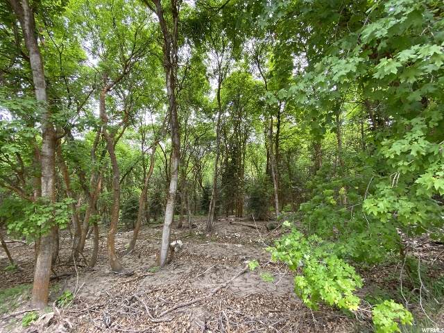 1970 Loafer Canyon Rd - Photo 1