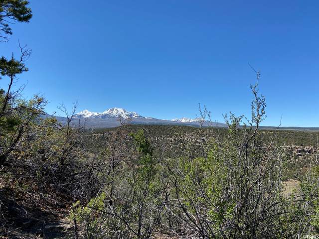 79 Wray Mesa Rd - Photo 1