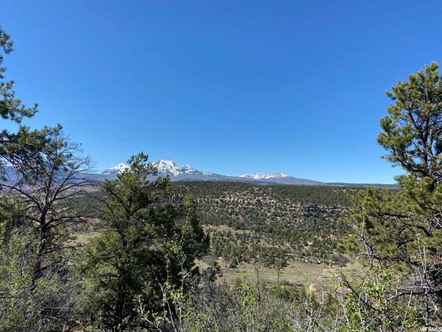 85 Wray Mesa Rd - Photo 1