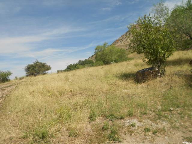 510 Aspen Drive - Photo 1