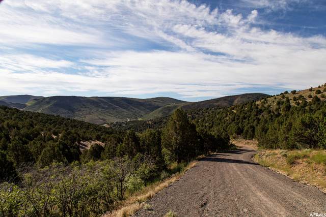15147 Shaggy Mountain Rd - Photo 1