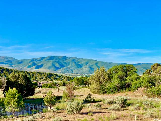 527 Red Mountain Ct (Lot 215) - Photo 1