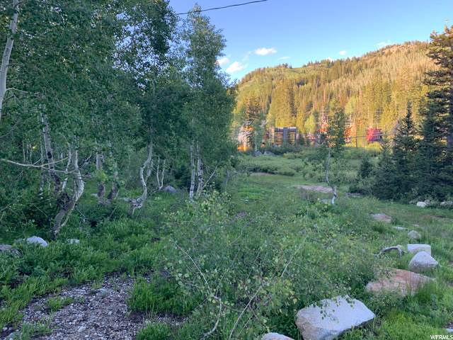 8119 Brighton Loop - Photo 1