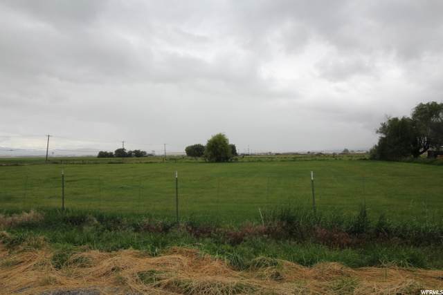 175 1950 - Photo 1