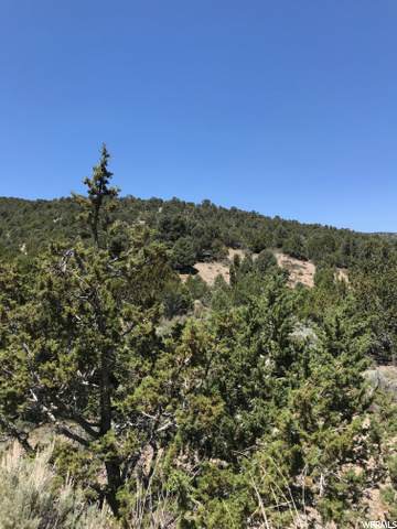 14 Johnson Canyon Rd - Photo 1