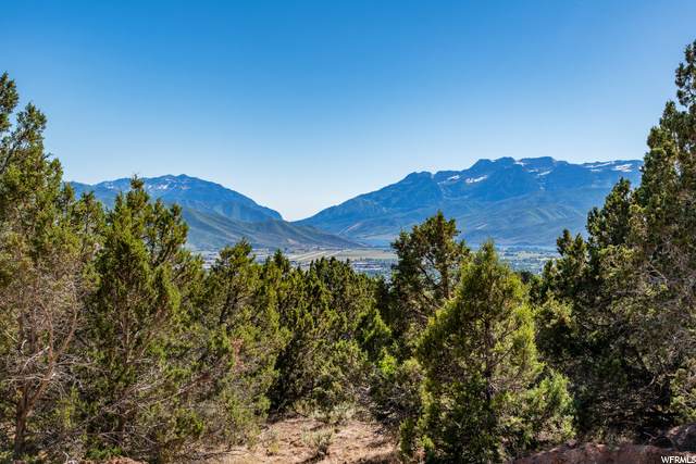 2877 La Sal Peak Dr (Lot 606) - Photo 1