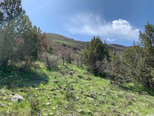 15577 Rose Canyon Rd - Photo 1
