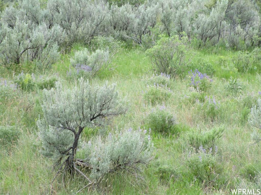 5300 Pocatello Valley Rd - Photo 1
