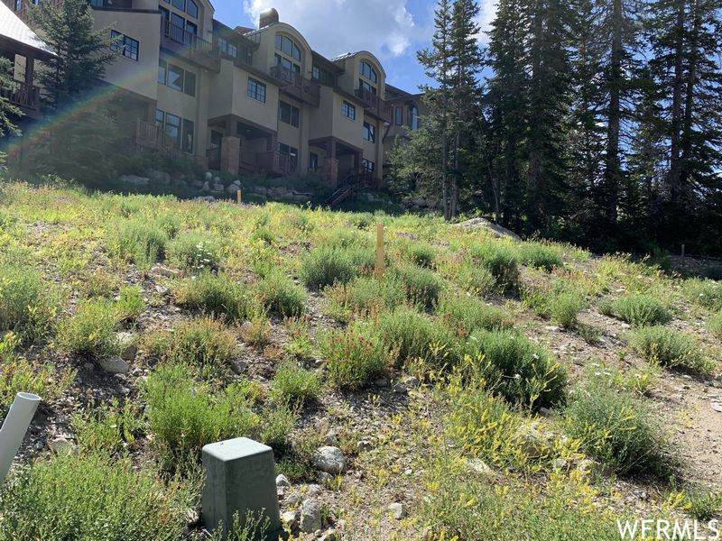 12110 Big Cottonwood Rd - Photo 1