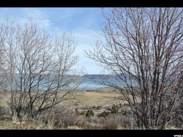 926 Cisco Run - Photo 1