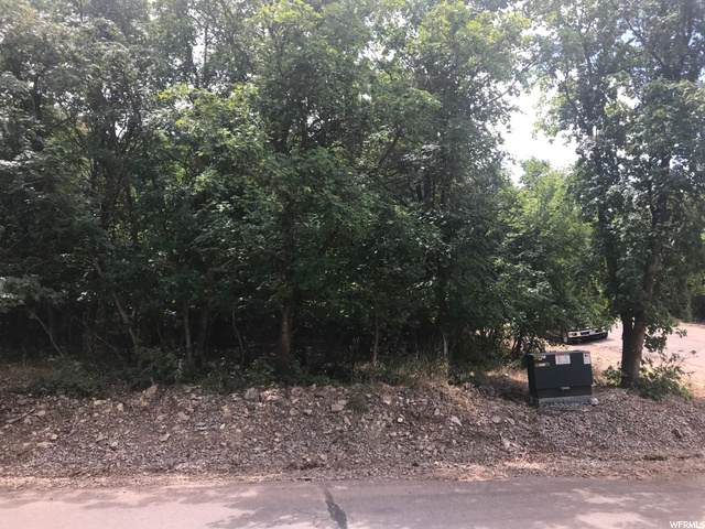 93 Broad Holw - Photo 1